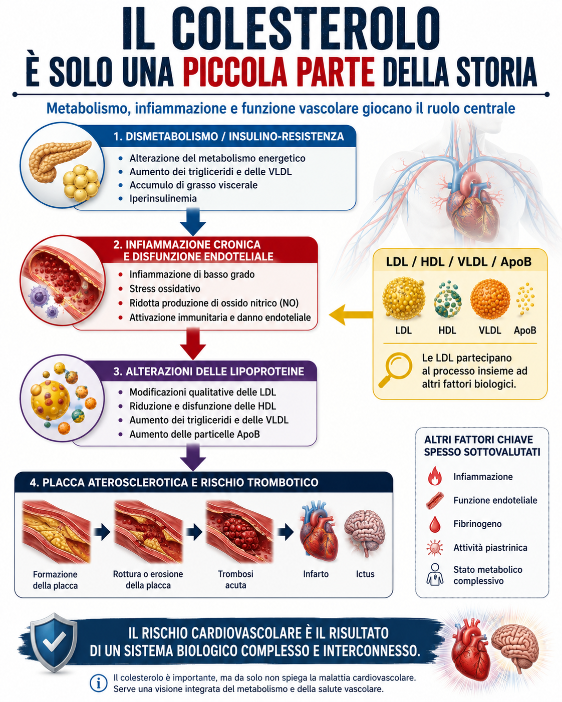 Teoria integrata dell'aterosclerosi